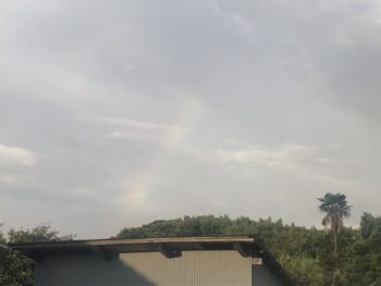 Rainbow Dream🌈