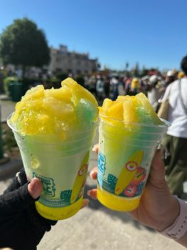 急な雷雨大丈夫でしたか?