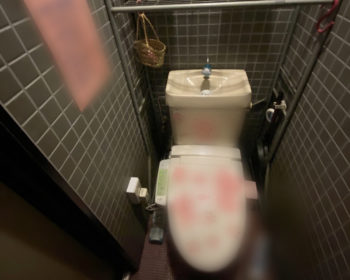 岡崎市：トイレ・洗面所の電気配線工事で便利な水回り空間に