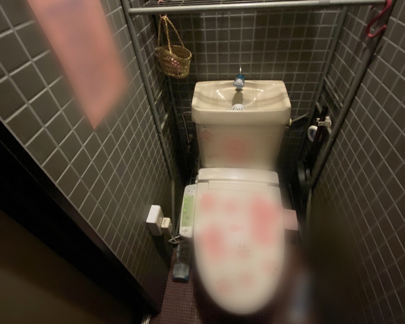 岡崎市:トイレ・洗面所の電気配線工事で便利な水回り空間に 岡崎市:トイレ・洗面所の電気配線工事で便利な水回り空間に