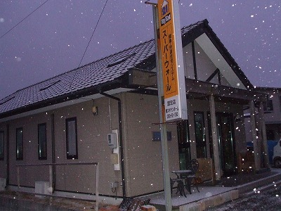 雪が降ってます。