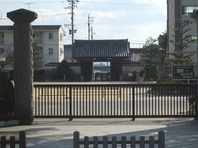 大樹寺見学。