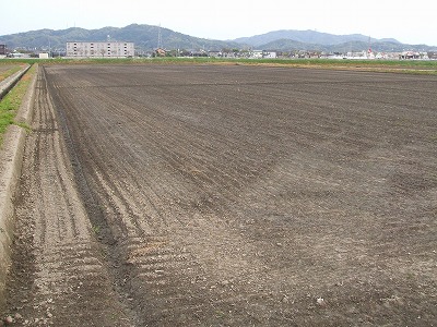 c0226839_724433.jpg