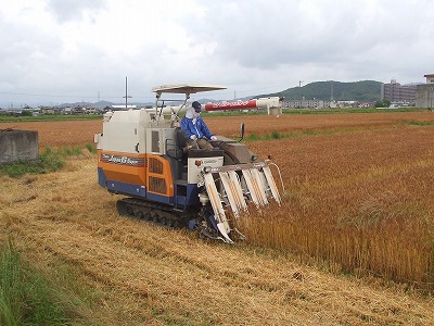 西尾市も梅雨に入りそうです!